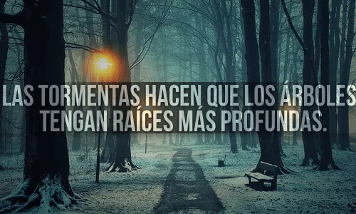Fondos de pantalla con frases en español - Imagui Fondos de pantalla con frases en español - Imagui