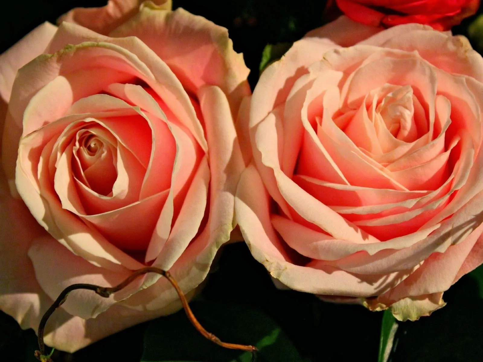 Imagenes lindas: Imagenes lindas originales Imagenes lindas: Imagenes lindas originales