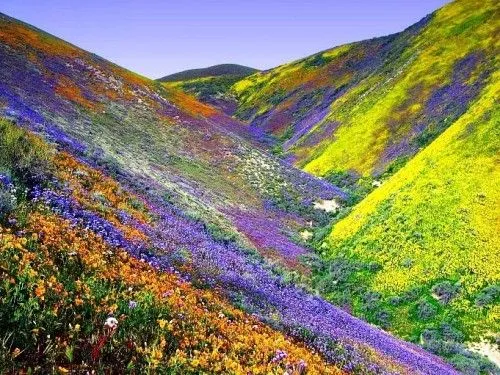 Imágenes lindas de primavera | Imagenes para Facebook [FB]