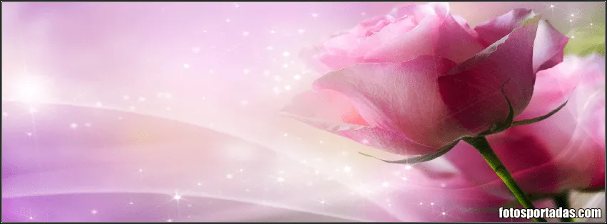 Imágenes lindas rosas de amor para portadas de facebook - Fotos ... Imágenes lindas rosas de amor para portadas de facebook - Fotos ...