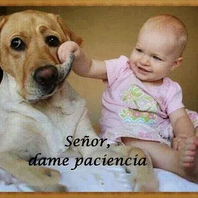 imagenes. lindas,tiernas,hermosas,romanticas y bellas con frases ... imagenes. lindas,tiernas,hermosas,romanticas y bellas con frases ...