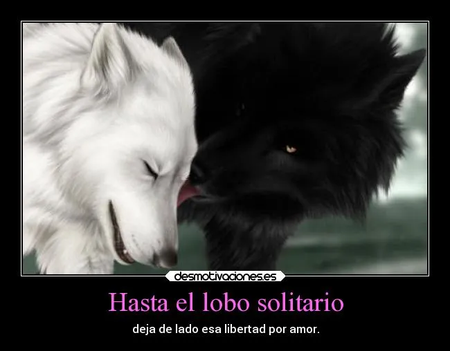 Desmotivaciones lobo solitario - Imagui