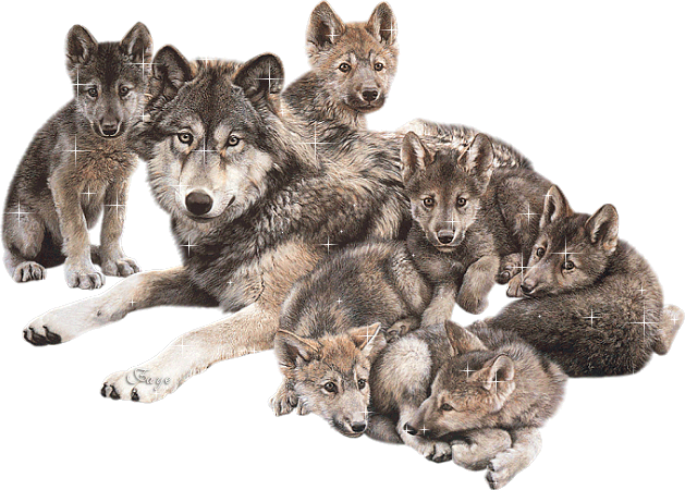 La Chachipedia: Dibujos de lobos para colorear, gifs animados y ... La Chachipedia: Dibujos de lobos para colorear, gifs animados y ...