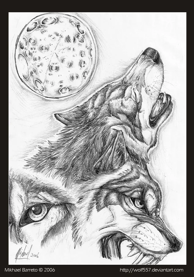 Imagenes de Lobos!!! - Taringa!