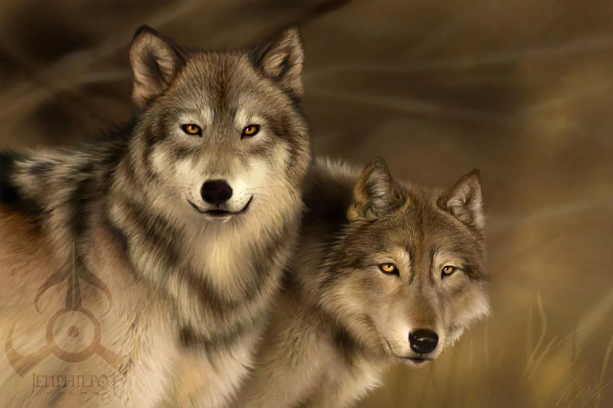 Imagenes de Lobos!!! - Taringa!