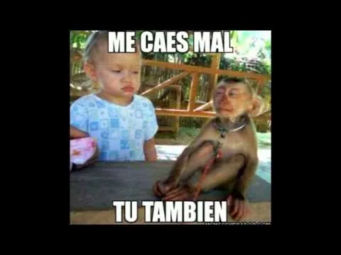 Imagenes locas y chistosas 