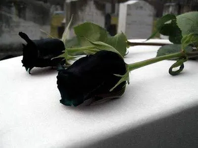Imágenes de luto y tristeza - Imagui