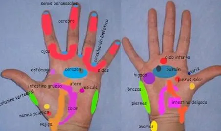 Reflexología de la mano - EANTA Reflexología de la mano - EANTA
