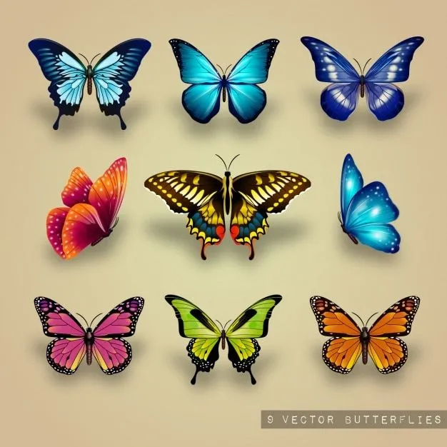 Imágenes de Mariposas - Descarga gratuita en Freepik Imágenes de Mariposas - Descarga gratuita en Freepik