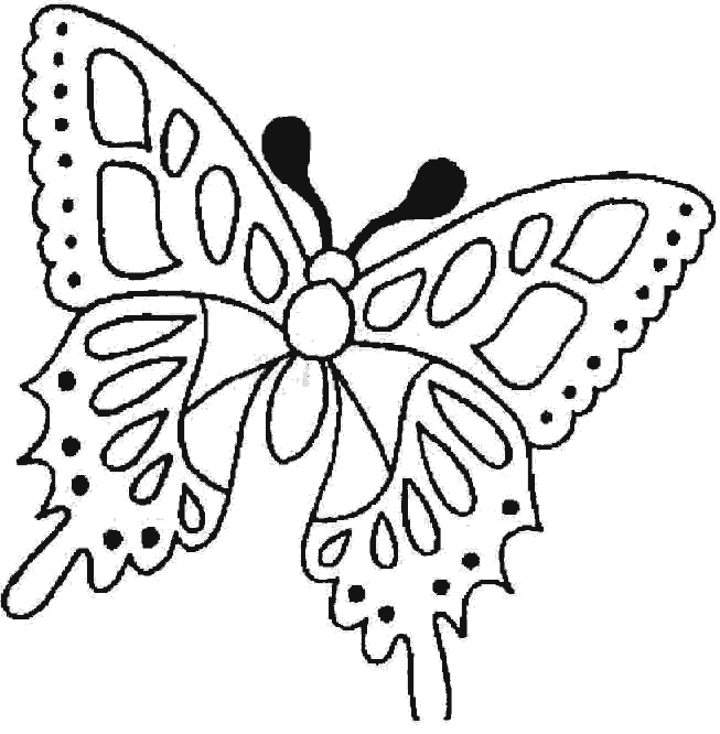 Dibujos para colorear de Mariposas, Lepidópteros, Plantillas para ...