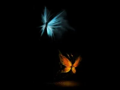 Imagenes de mariposas con movimiento y brillo - Imagui Imagenes de mariposas con movimiento y brillo - Imagui