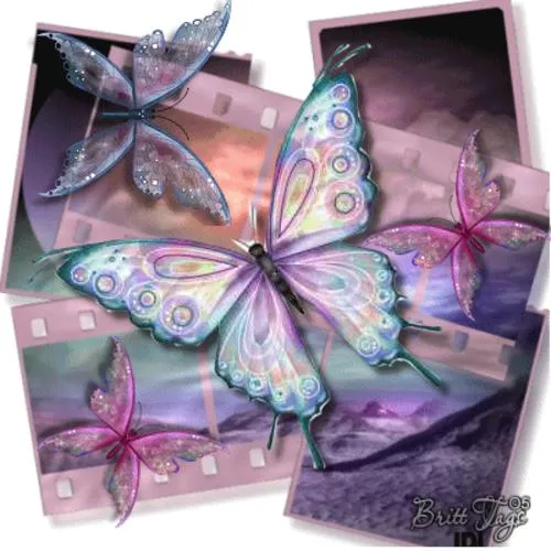 Imagenes de mariposas brillantes con movimiento - Imagui