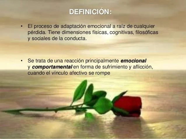 Imagenes y mensajes de duelo - Imagui