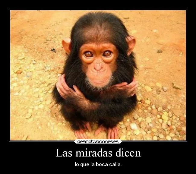 Las miradas dicen | Desmotivaciones