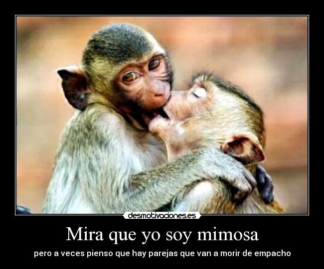 Carteles de Bobadas Pag. 5 | Desmotivaciones