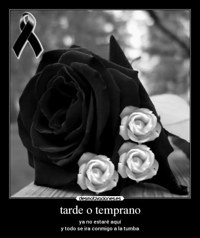 Rosa de luto para portada de FaceBook - Imagui