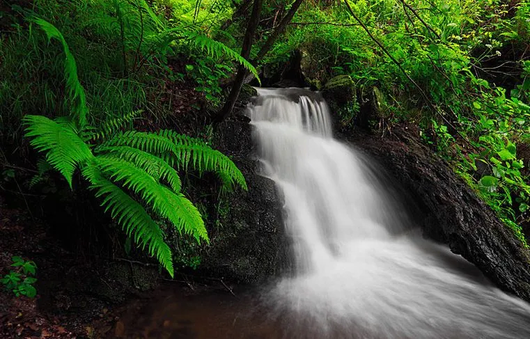 Imágenes de montañas, ríos, cascadas, paisajes y flores | BANCO DE ... Imágenes de montañas, ríos, cascadas, paisajes y flores | BANCO DE ...