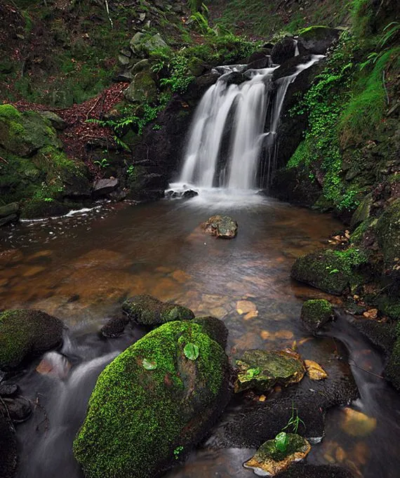 Imágenes de montañas, ríos, cascadas, paisajes y flores | BANCO DE ... Imágenes de montañas, ríos, cascadas, paisajes y flores | BANCO DE ...