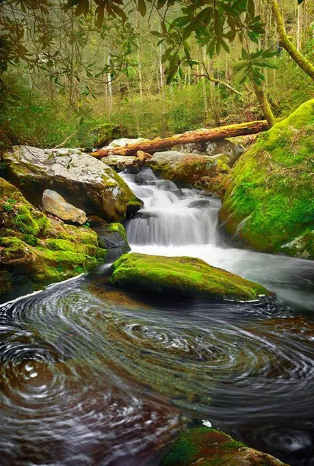Imágenes de montañas, ríos, cascadas, paisajes y flores | BANCO DE ... Imágenes de montañas, ríos, cascadas, paisajes y flores | BANCO DE ...