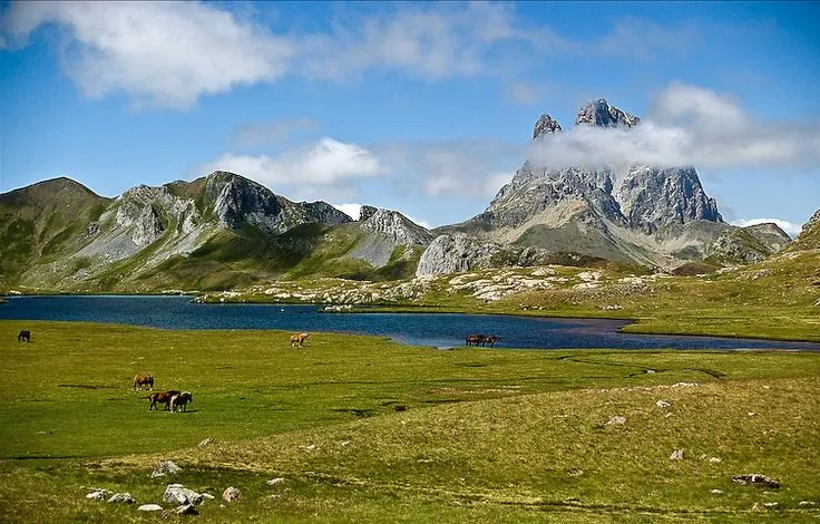 Imágenes de montañas, ríos, cascadas, paisajes y flores | BANCO DE ...