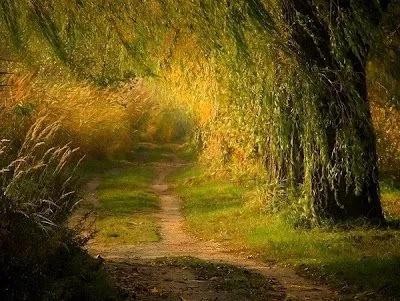 Imagenes movibles de paisajes - Imagui