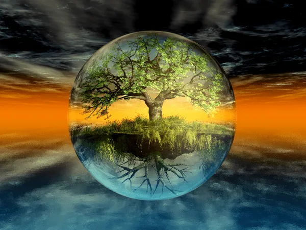 Tras los CristaLes de la VenTana: Día de la Tierra /ImáGeNes en ...