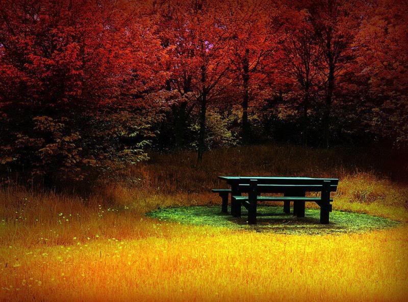 Pensamientos e ideas: Buscar un lugar
