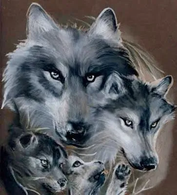 Imagenes del mundo y fantasia: LOBOS - 1