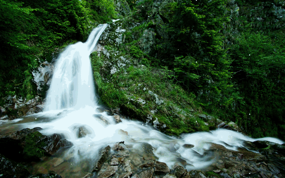 Imagenes de naturaleza con movimiento - Imagui Imagenes de naturaleza con movimiento - Imagui