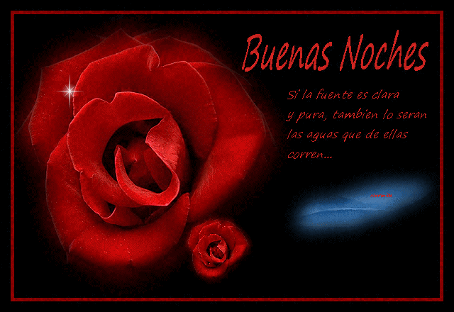 imagenes de buenas noches con frases bonitas | Imagenes |Fondos de ...