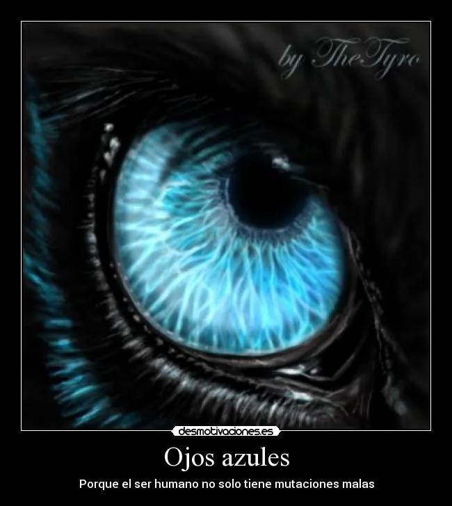 Imagenes de ojos de lobos - Imagui