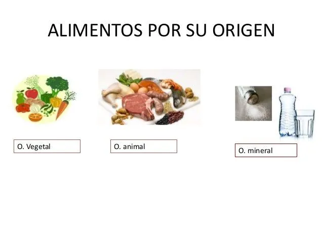 Imagenes de origen animal vegetal y mineral - Imagui Imagenes de origen animal vegetal y mineral - Imagui
