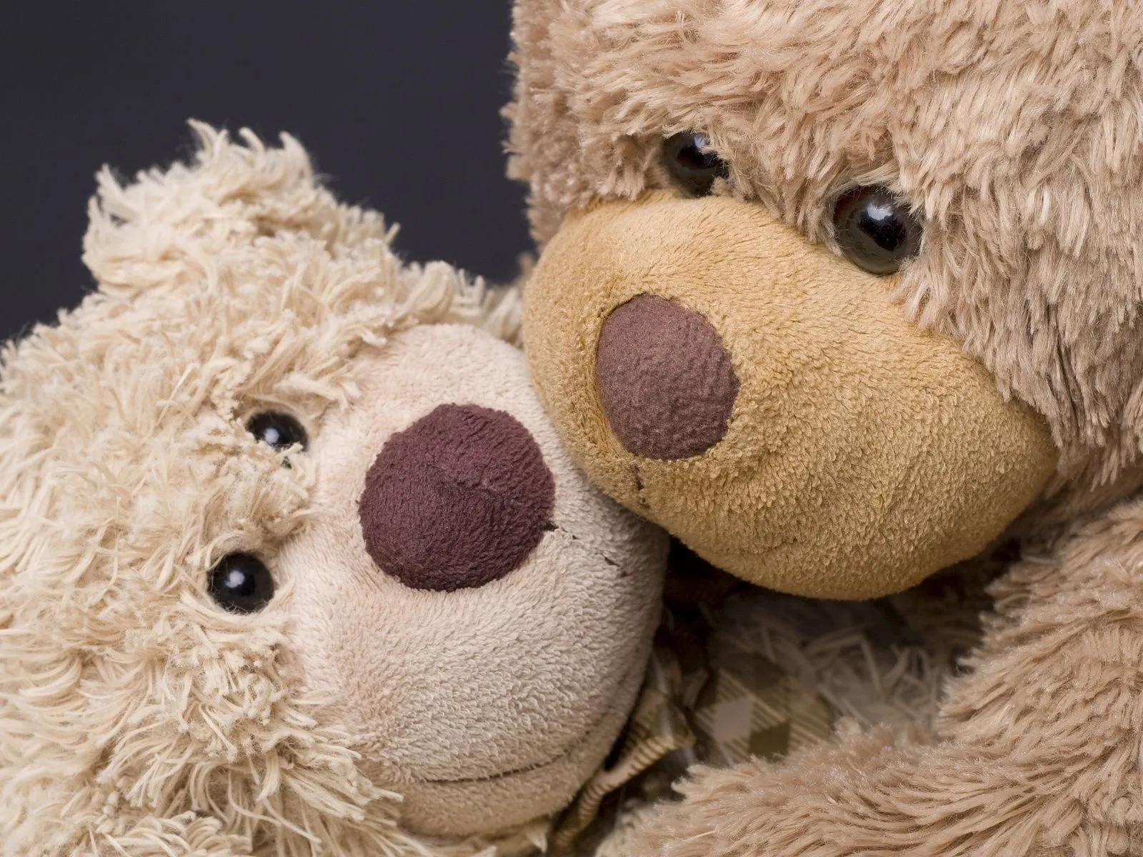 Imagenes • Peluches de ositos tiernos