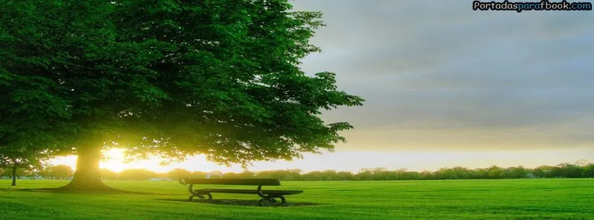 VIVE LA VIDA, NO PERMITAS QUE SE TE ESCAPE | Reflexiones Hoy