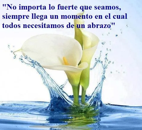 Imagenes de paisajes con frases bonitas de reflexion - Imagui Imagenes de paisajes con frases bonitas de reflexion - Imagui