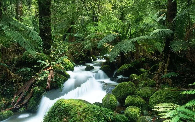 Imagenes en full HD 1080p paisajes - Imagui Imagenes en full HD 1080p paisajes - Imagui