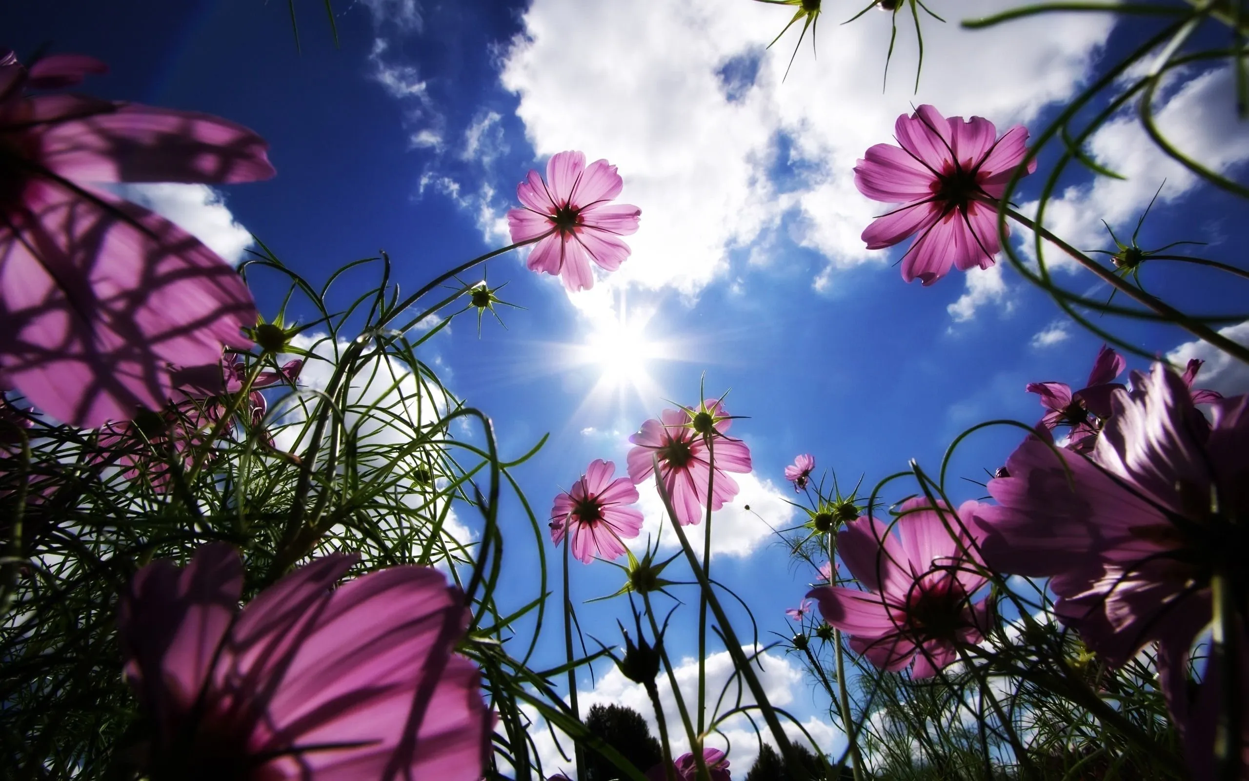 Paisaje_con_flores
