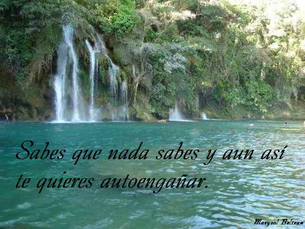 Paisajes bellos con frases - Imagui