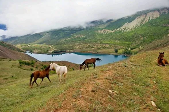 paisajes naturales | Imagenes