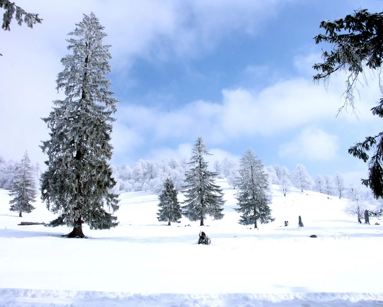 Imagenes Paisajes De Invierno.... | 10 Pixeles | Banco De Imagenes ...