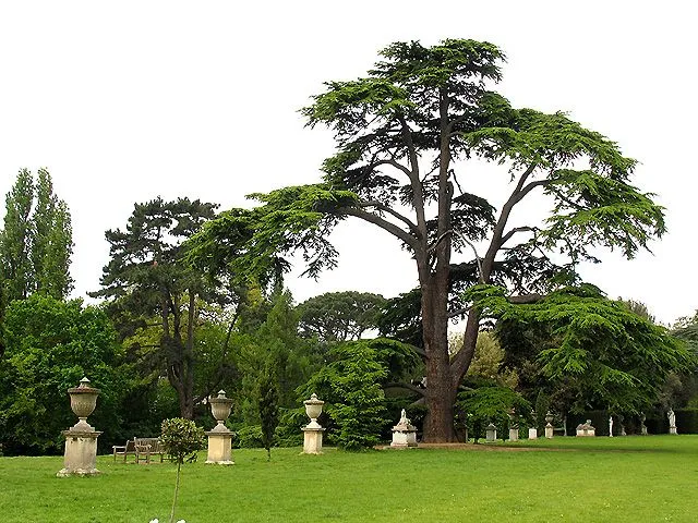 Imagenes de Paisajes: de jardines Imagenes de Paisajes: de jardines