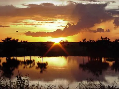 Imagenes de Paisajes: llaneros de venezuela Imagenes de Paisajes: llaneros de venezuela