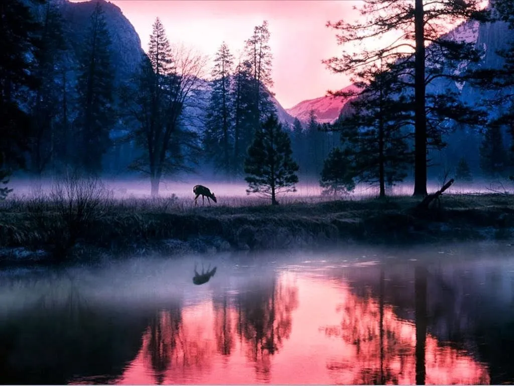 Imágenes de paisajes |para celular - fondos de pantalla | Imagenes ... Imágenes de paisajes |para celular - fondos de pantalla | Imagenes ...