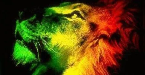 Imagenes de Paisajes: reggae