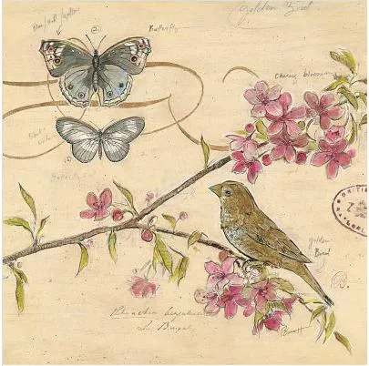 Pajaritos vintage - Imagui