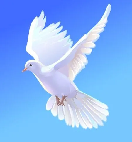 Imagenes de palomas de dios - Imagui