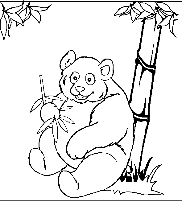 Cara de oso para colorear e imprimir - Imagui Cara de oso para colorear e imprimir - Imagui
