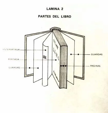 Dibujo de un libro con sus partes - Imagui