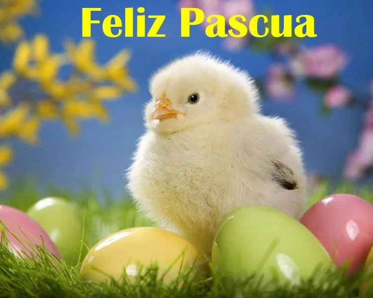 Imagenes de Pascua: las mejores imágenes de Pascuas