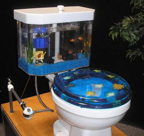 Imágenes de Peceras - Taringa!